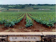 La Tache