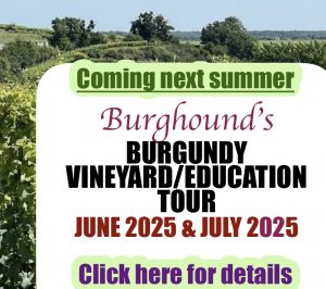 Coming this summer - Burghound’s Burgundy/Vineyard Education Tour- June 2025 and July 2025 - click for details.